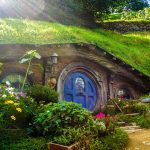 Patios pequeños con plantas