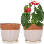 Maceteros para plantas