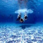 Guía completa sobre piscinas desmontables para tu hogar