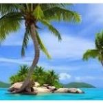 Palmeras