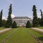 Jardín botánico de Berlín