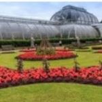 Jardín botánico de Londres