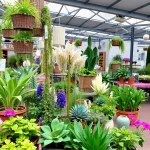 El Vivero De Maruja