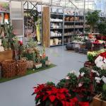 Ariatza Jardines - Lorategia