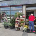 Arte Floral Calo