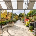 Berroa Garden
