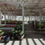Brico Garden Toledo