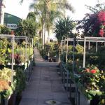Centro De Jardinería Albogarden