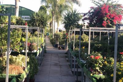Centro De Jardinería Albogarden