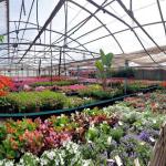 Centro De Jardinería Argu