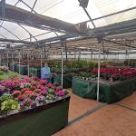 Centro De Jardineria El Acebo