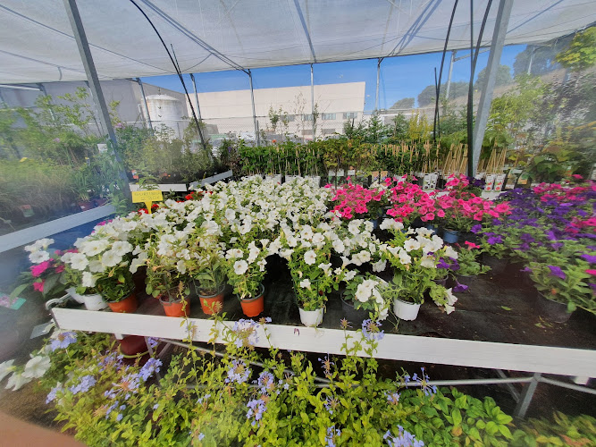 Centro De Jardinería Gorbeia