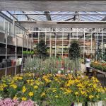 Centro De Jardinería La Encina