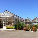 Centro De Jardinería Ostende