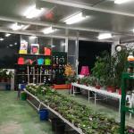 Cepaflor | Centro De Jardinería Santa Margarita