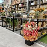 Citygarden