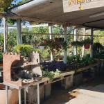 El Nou Garden