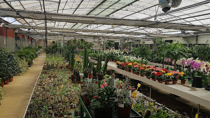 Garden Center Campo Grande