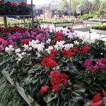 Garden En Casa