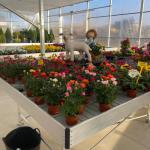 Garden Quirce