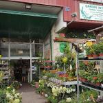 Garden Rivas - Centro De Jardinería