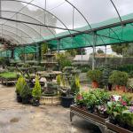 J. J. Garden @Viverojjgarden