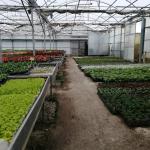 Jardinería Adaxka