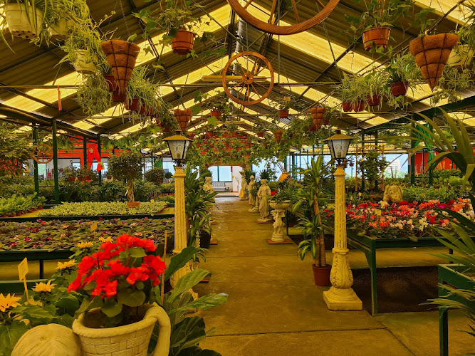 Jardinería El Castillo