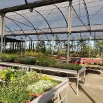 Jarditec Sl - Centre De Jardineria I Floristeria