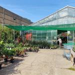 L'hivernacle D'horta