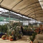 Piteralandia – Jardín Didáctico