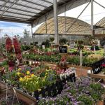 Verdecora Parquesur