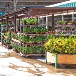 Viveros Projardín S.a