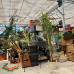 Zizurbide Tu Centro De Jardinería Más Cercano