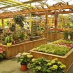 Vivero Serrallo Garden