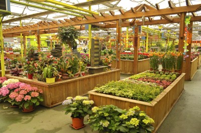 Vivero Serrallo Garden
