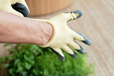 Guante de protección de jardinería junto a plantas