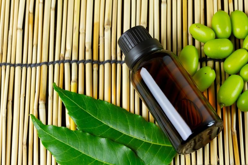 Aceite de neem junto a hojas y semillas de neem