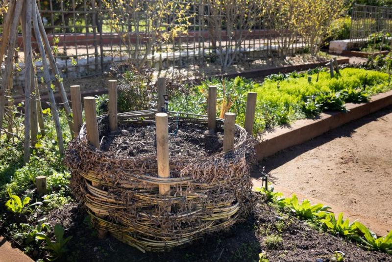 Compostador de mimbre en un huerto, con restos vegetales en descomposición