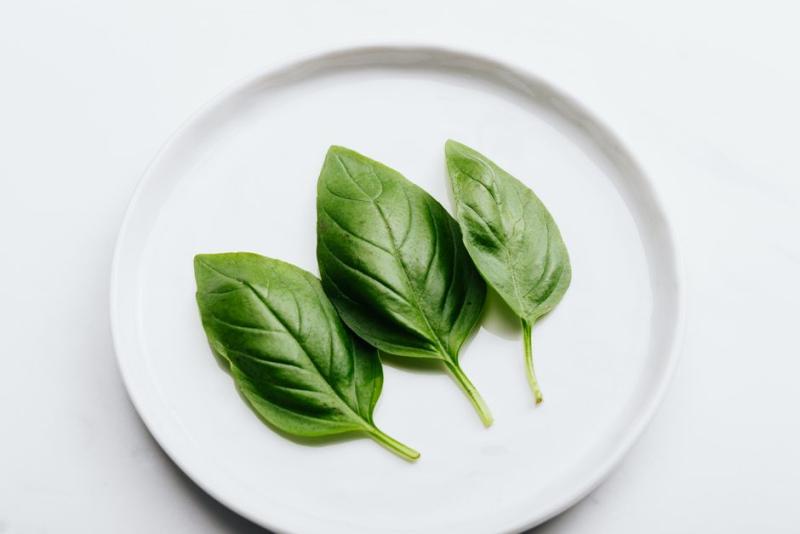 Hojas frescas de albahaca sobre un plato blanco