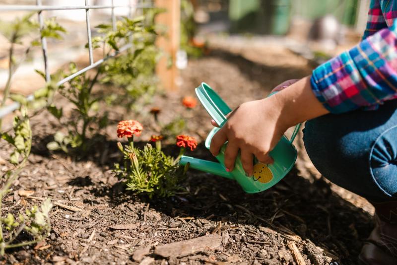 Regando unas flores en el jardín con una regadera