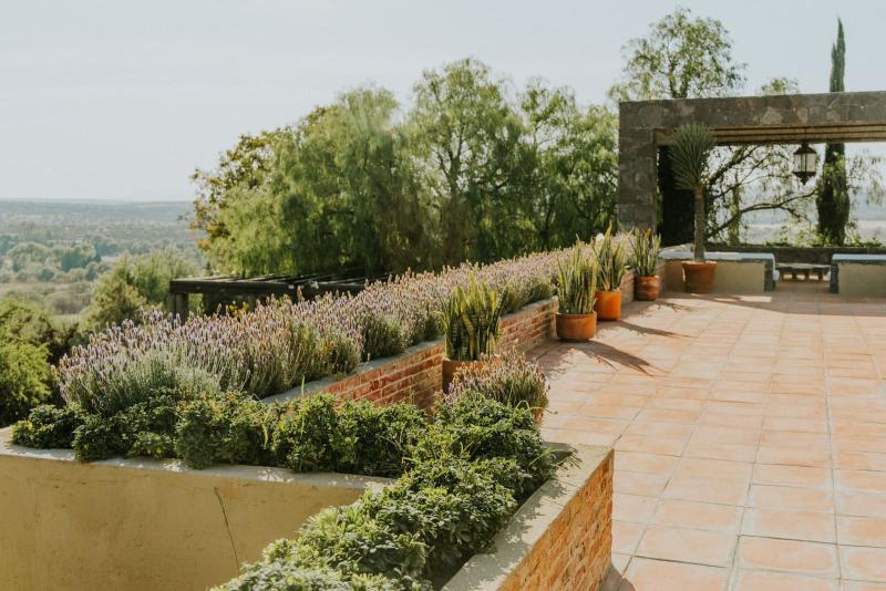 Terraza con macetas de lavanda y suculentas junto a un mirador