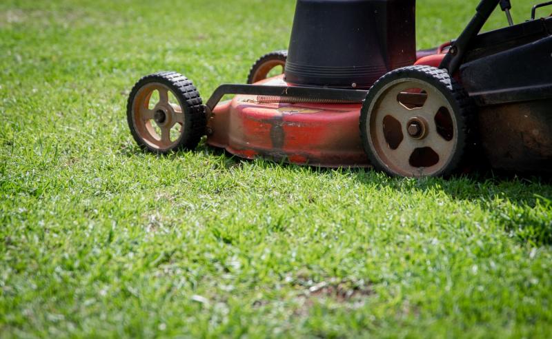 Persona cortando el césped con un cortacésped en un jardín