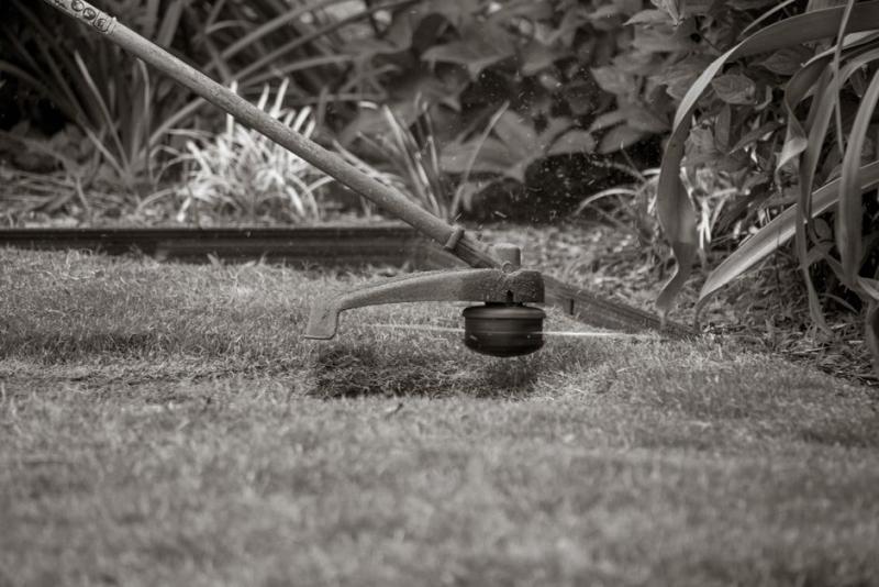 Cabezal de desbrozadora cortando el borde del césped junto a un parterre