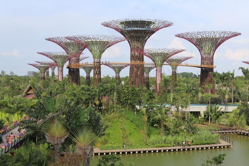 El Supertree Grove de Gardens by the Bay en Singapur