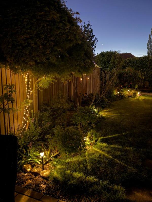 Jardín iluminado por la noche con luces decorativas en un árbol y el camino