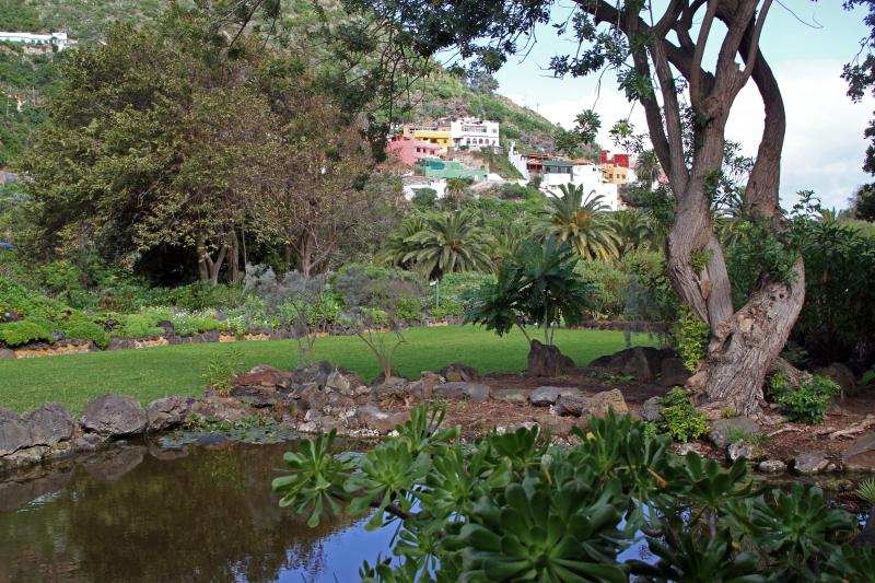Estanque del Jardín Botánico Canario con el pueblo de Tafira al fondo