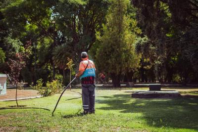 Jardinero municipal regando plantas en un parque