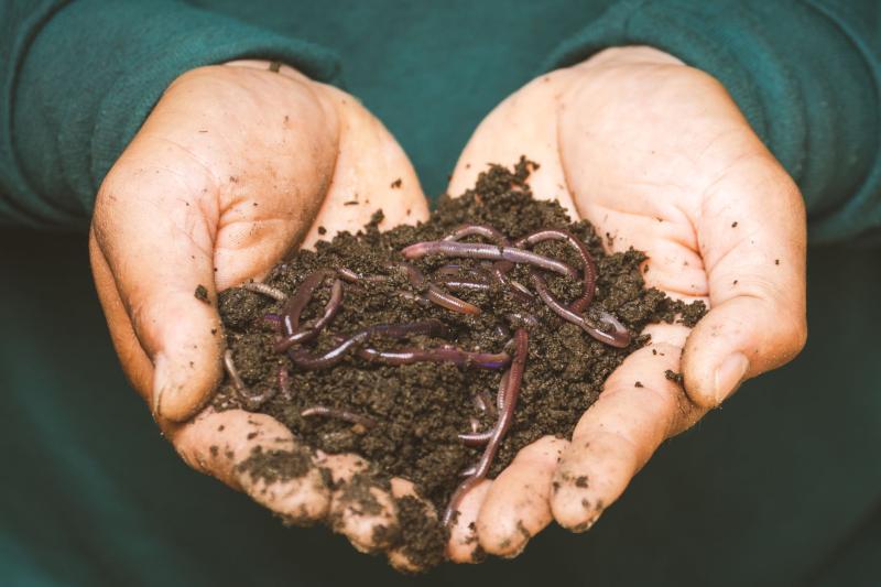 Manos sosteniendo tierra con lombrices, señal de suelo fértil