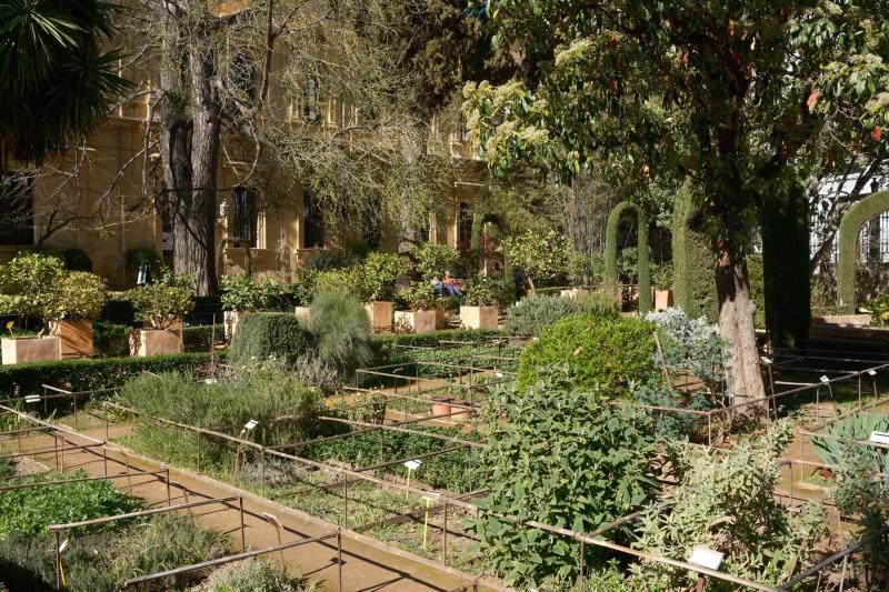 Parcelas de un jardín botánico con especies etiquetadas